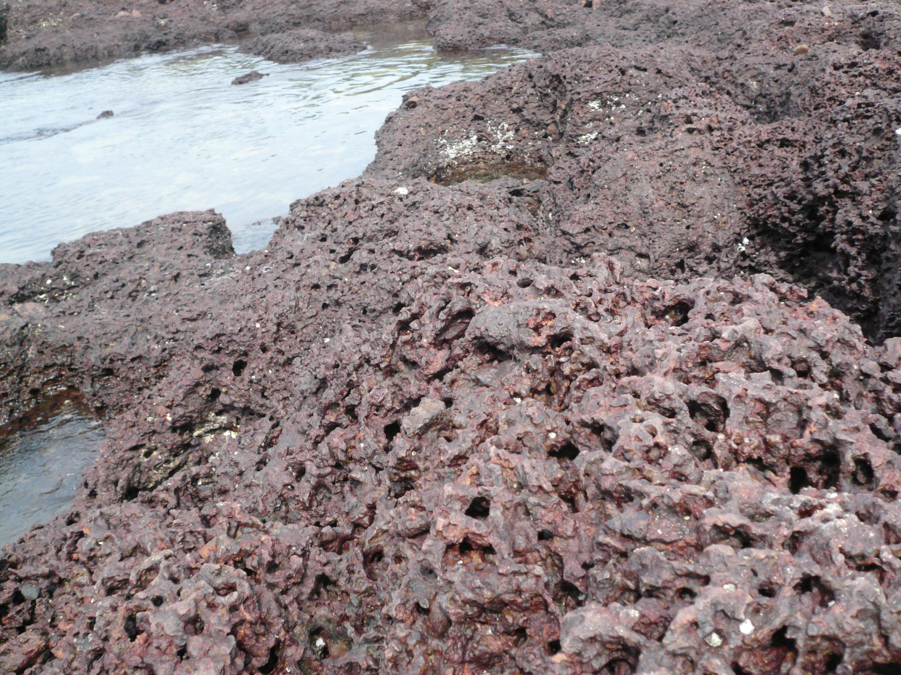 Volcanic rock on the seashore in India